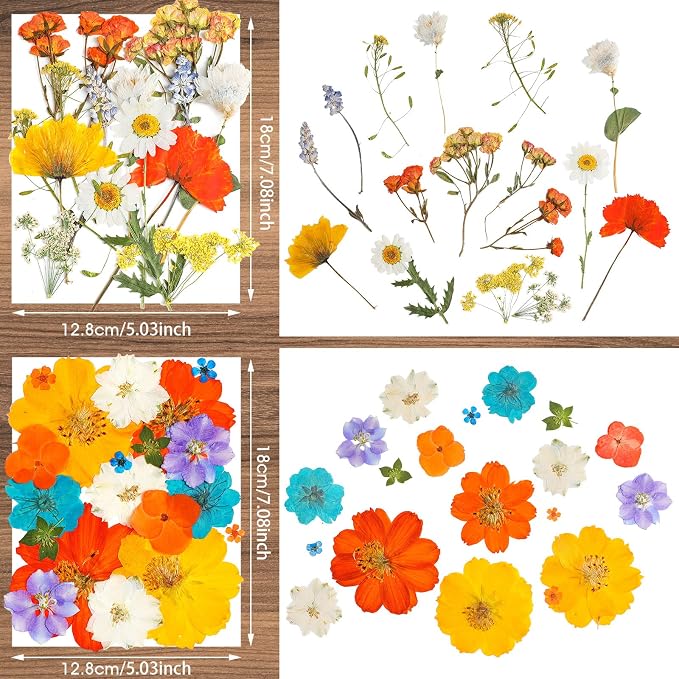 Nuanchu Pressed Flowers Bulk Dried Flower - Image 3