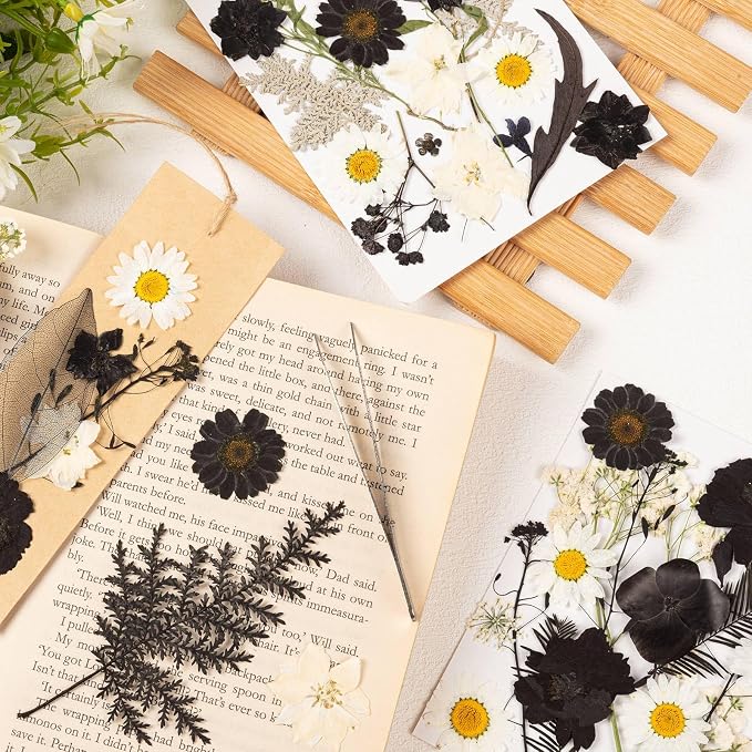 78 Pcs Black and White Dried Pressed Flowers - Image 6