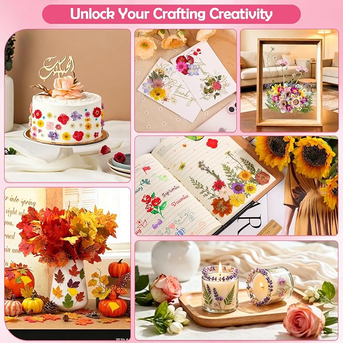 481 PCS Pressed Flowers for Crafts, Real Dried Pressed Flowers Nature Dry - Image 6