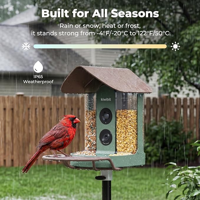 Kiwibit Smart Bird Feeder with Camera Solar Powered, No Subscription - Image 9