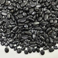 FANTIAN 2 lbs Black Pebbles for Indoor Plants, 3/8 inch Decorative Rocks by FANTIAN-GardeningMakesLifeBetter