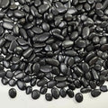 FANTIAN Black Pebbles for Indoor Plants, 3/8 inch Small Bag Stones, Decorative by FANTIAN-GardeningMakesLifeBetter