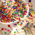 880 PCS Small Dried Flowers for Crafts Resin by LGFMGWH