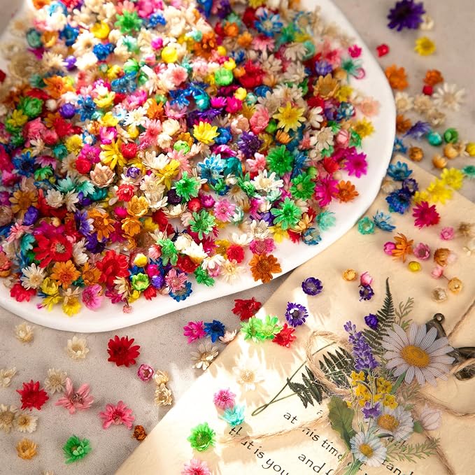880 PCS Small Dried Flowers for Crafts Resin by LGFMGWH