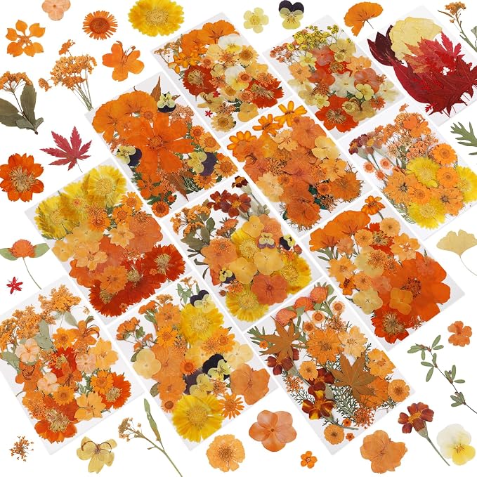 NESCCI 350 Pcs Orange Fall Dried Flowers by NESCCI