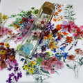 50 Pieces Natural Flower Themed Transparent Stickers by Unknown