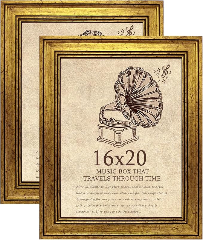 16x20 Picture Frame with Real Glass set of 2-Vintage Frames by TKYGU