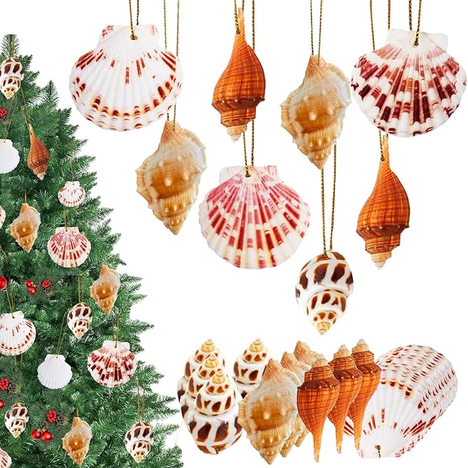 20 PCS Seashells Hanging Ornaments Natural Shells Decorations Beach Ocean - Image 9