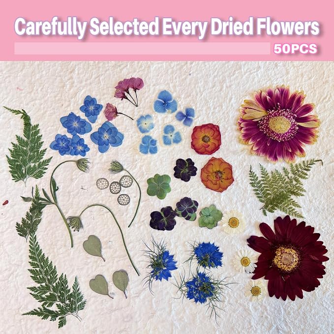 A4 Large Dried Pressed Flowers for Resin Real Dry Natural Flowers Leaves for - Image 3