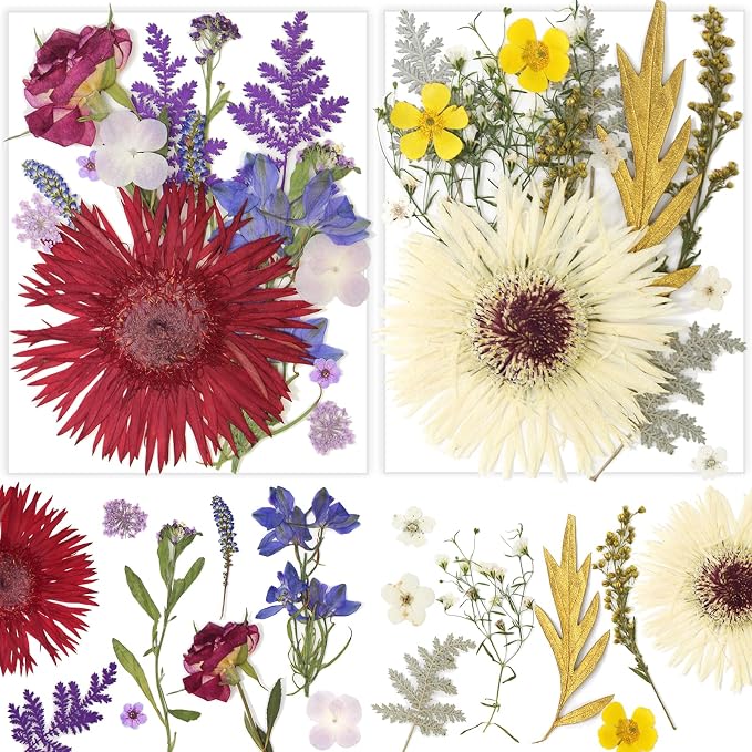 17 Types 30PCS Real Dried Pressed Flowers Bulk Dried Flower by Unknown
