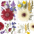 17 Types 30PCS Real Dried Pressed Flowers Bulk Dried Flower by Unknown