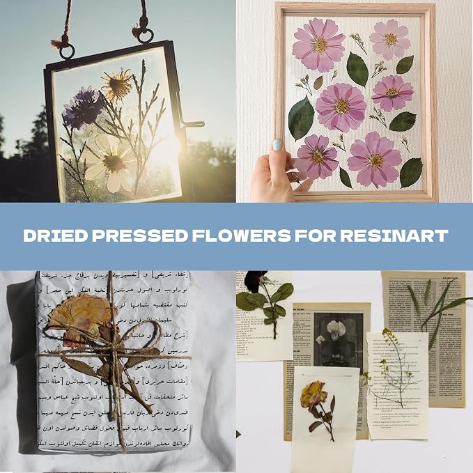 Pressed Flowers112 Pcs, Dried Pressed Flowers - Image 4