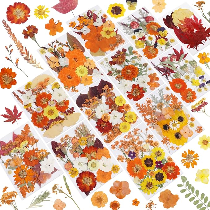 NESCCI 277 Pcs Autumn Dried Flowers by NESCCI