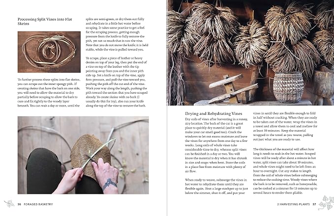 Foraged Basketry: Weaving with Wild and Invasive Plants - Image 3