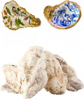 10Pcs Oyster Shells for Crafts， 4"-5" Large Oyster Shell for Crafts，Oyster by Unknown
