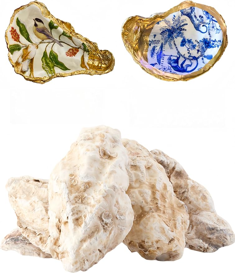 10Pcs Oyster Shells for Crafts， 4"-5" Large Oyster Shell for Crafts，Oyster by Unknown
