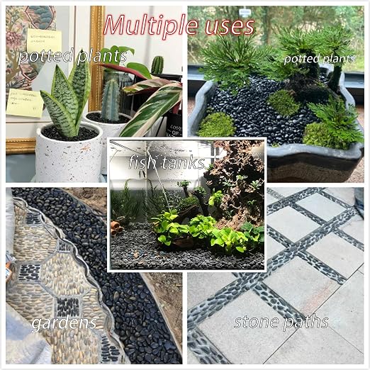 100PCS Painting Rocks - Image 5