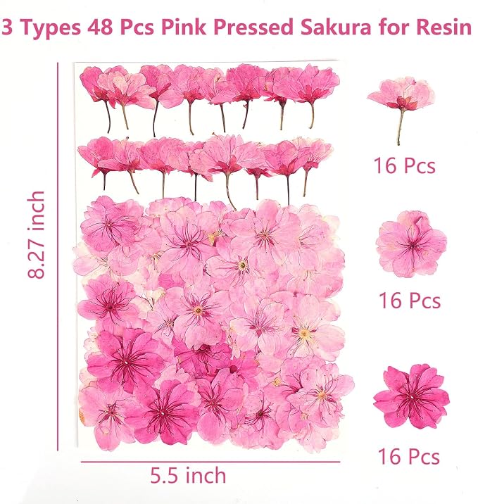 48 Pcs Mix Natural Dried Pressed Cherry Blossoms - Image 2