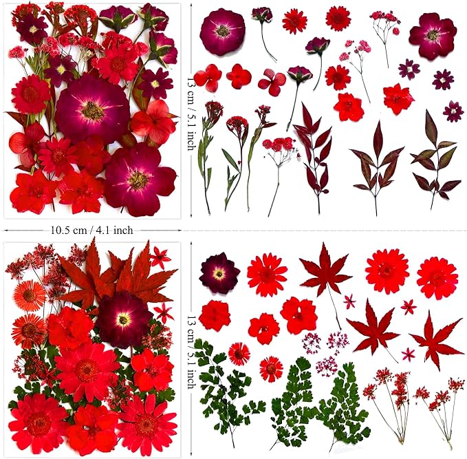 132Pcs Red Pressed Dried Flowers and Butterfly - Image 5