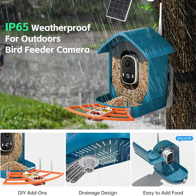 Bird Feeder with Camera, AI Bird Identification, Full HD Live Video, Solar - Image 5