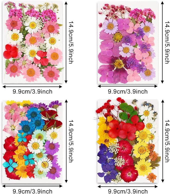 Augshy 141Pcs Dried Pressed Flowers - Image 2