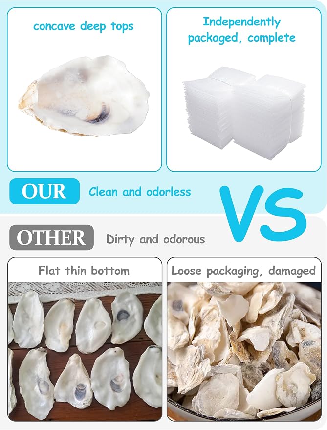 20Pcs Oyster Shells for Crafts， 3"-4" Large Oyster Shell for Crafts，Oyster - Image 6