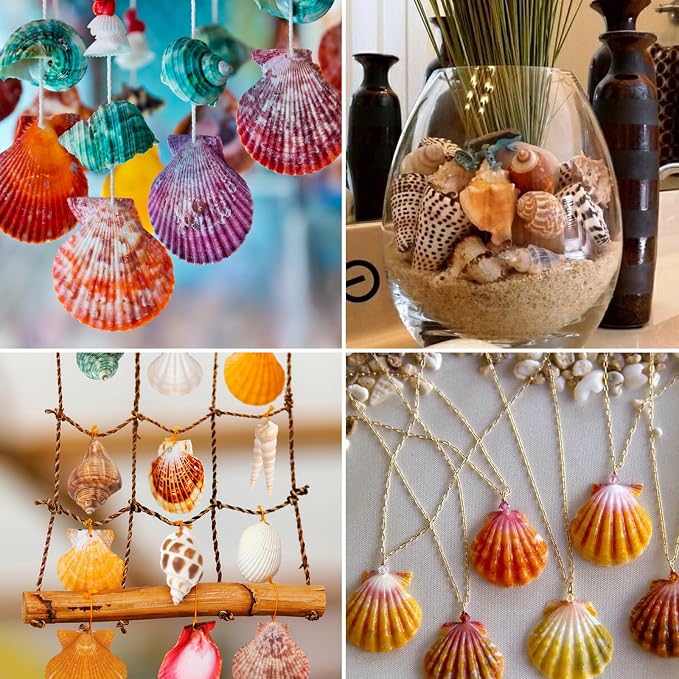 QEQEKAKA Sea Shells for Crafts - Image 7