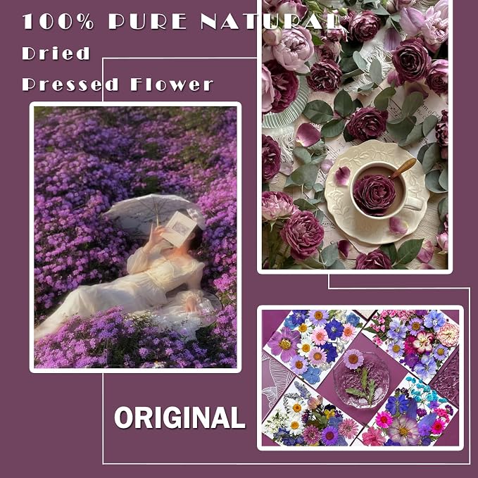 MIKIYA 91Pcs Purple Pressed Dried Flowers - Image 2