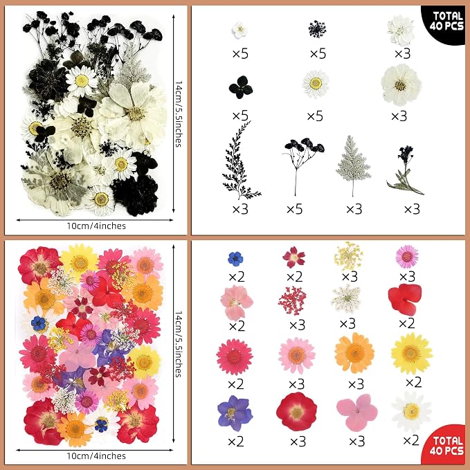Tessera 160+ Pcs Real Pressed Flowers - Image 9