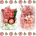 2PCS Dried Flowers Kit, Natural Dried Flowers Kit by Unknown