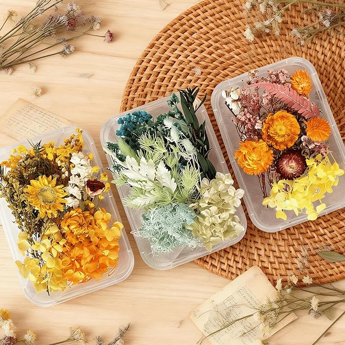 2PCS Dried Flowers Kit, Natural Dried Flowers Kit - Image 4