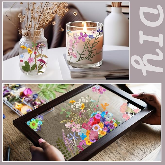 Nuanchu Small Dried Flower for Craft Resin Mini Pressed Flowers Bulk Real Tiny - Image 7
