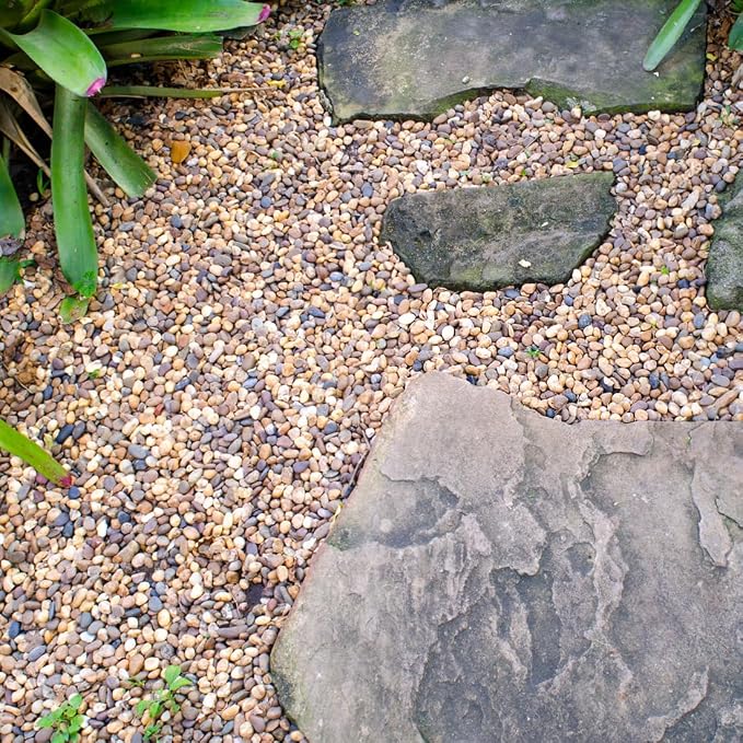 YISZM 5lbs Aquarium Gravel, 1/4" Fish Tank Gravel Natural River Rocks Succulent - Image 6