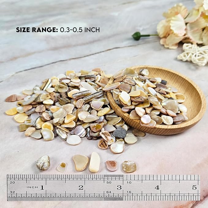 Natural Crushed Shells Chips Irregular Mother of Pearl Seashell Fragments Sea - Image 2