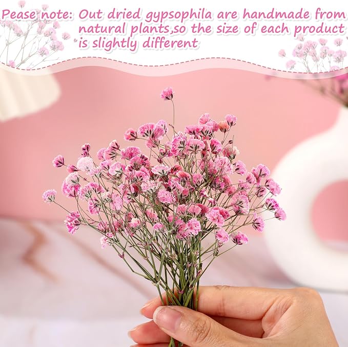 Tinideya 100 Pcs Dried Babys Breath Flowers Bulk Babys Breath Real Pressed - Image 3