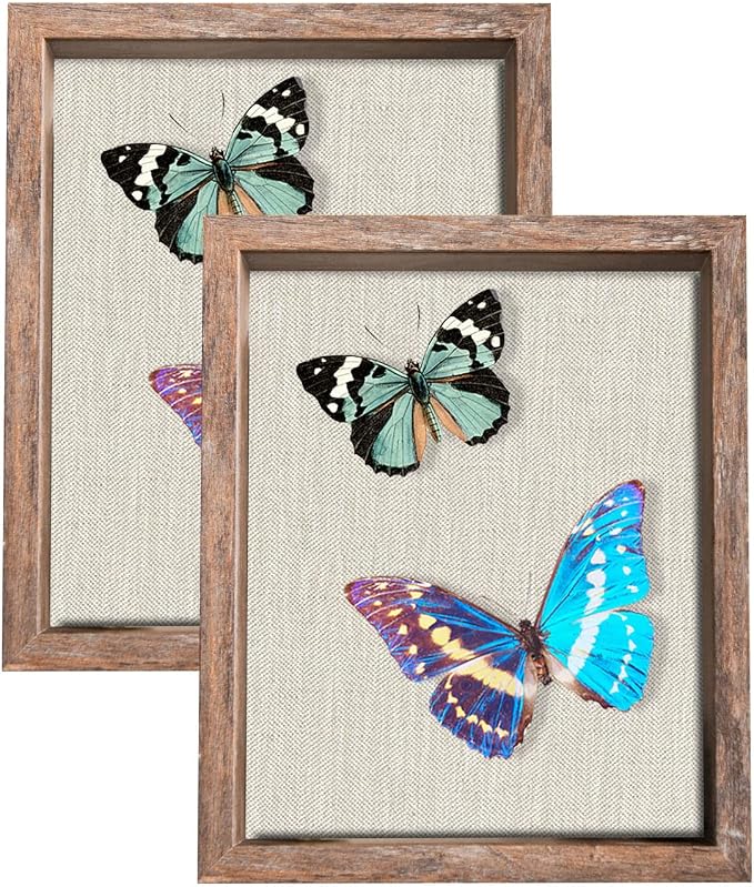 2 Packs 8x10 Shadow Box Frame by Califortree