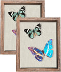 2 Packs 8x10 Shadow Box Frame by Califortree