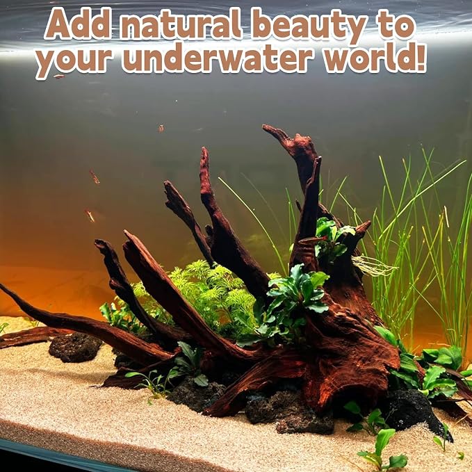 PINVNBY Large Driftwood for Aquarium Fish Tank Decorations Natural Assorted - Image 4