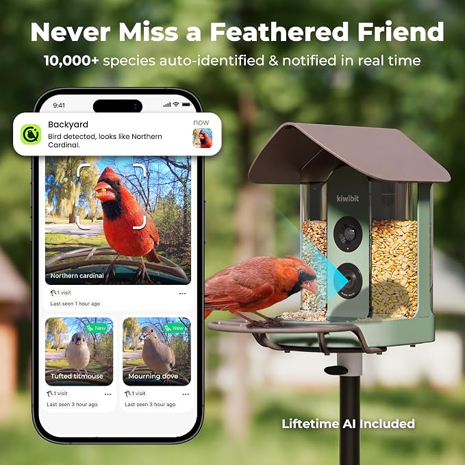 Kiwibit Smart Bird Feeder with Camera Solar Powered, No Subscription - Image 4