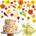96 Pcs Natural Dried Pressed Flowers by Unknown