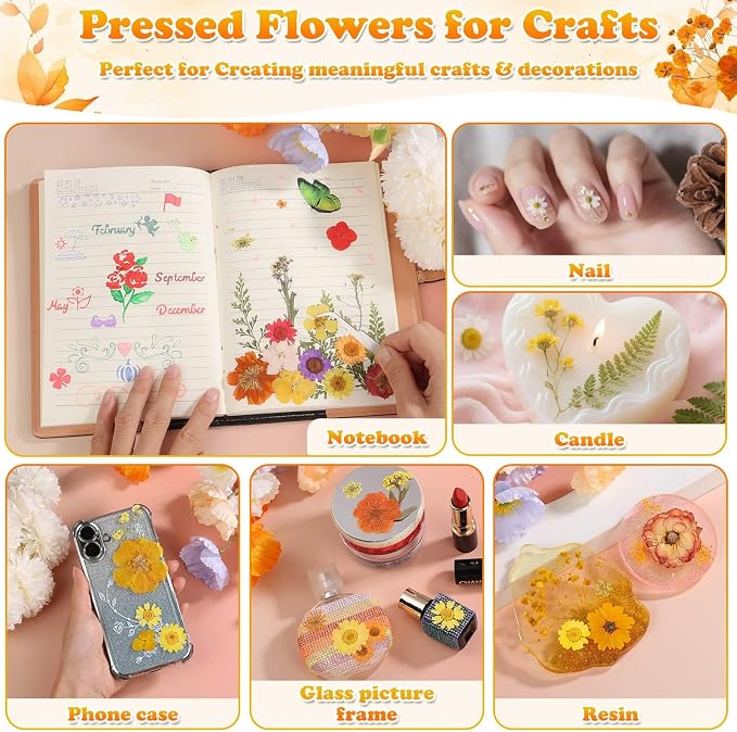 361 Pcs Pressed Dried Flowers - Image 6