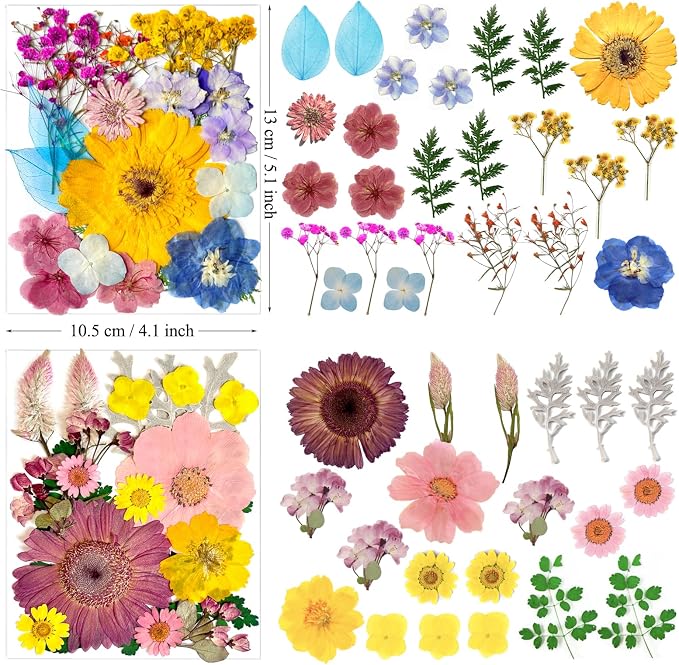 90Pcs Big Dried Pressed Flowers - Image 5