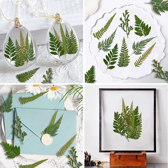 80 Pcs Green Ferns Dried Pressed Flowers Bulk - Image 5