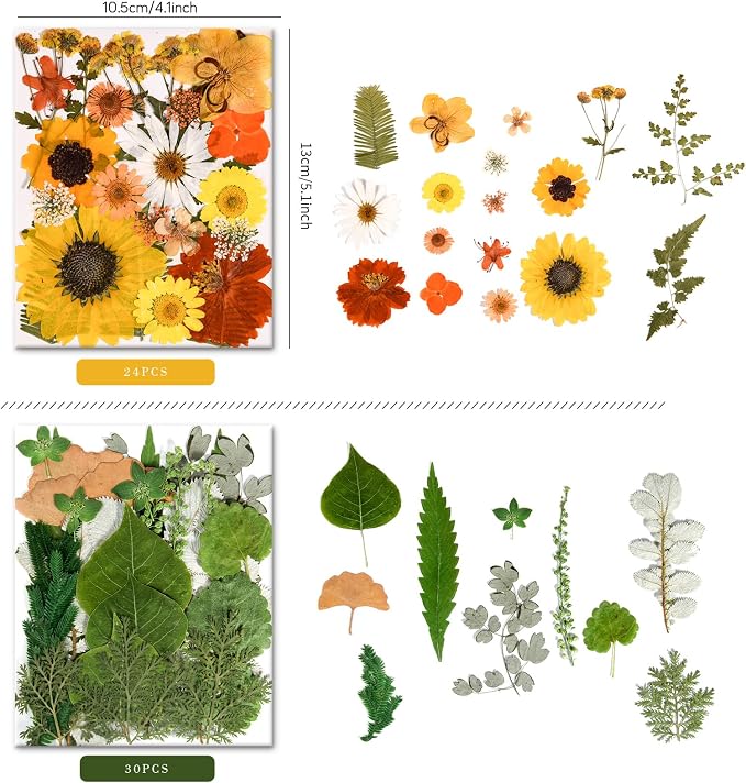 150PCS Pressed Dried Flowers Dry Leaves - Image 5