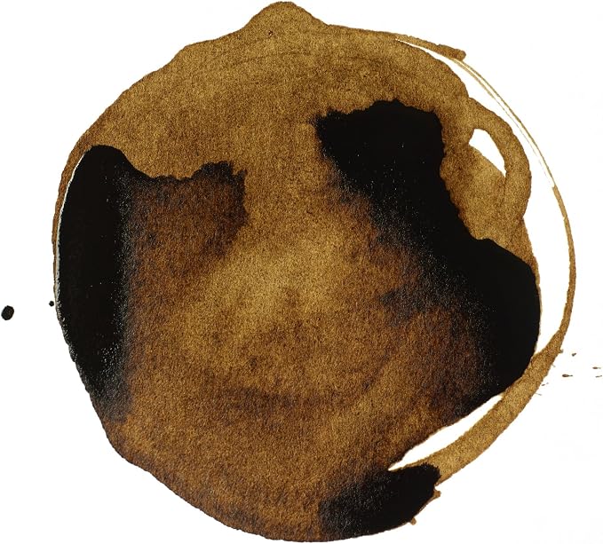 Liquitex Professional Acrylic Ink, 1-oz Jar, Transparent Raw Umber - Image 2