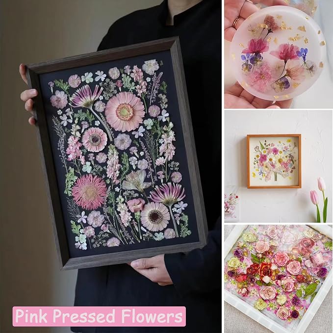 92Pcs Pink Dried Pressed Flowers - Image 4