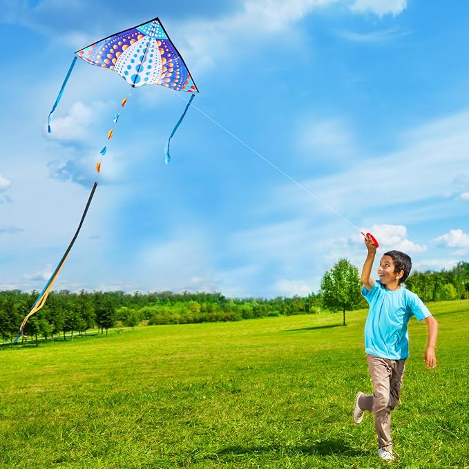 HONBO Large Delta Kite for Kids & Adults, Extremely Easy to Fly Kite for Beach - Image 2