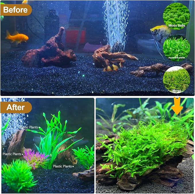 Natural Driftwood Decor for Aquarium Decorations Reptile Tank Accessories - Image 7