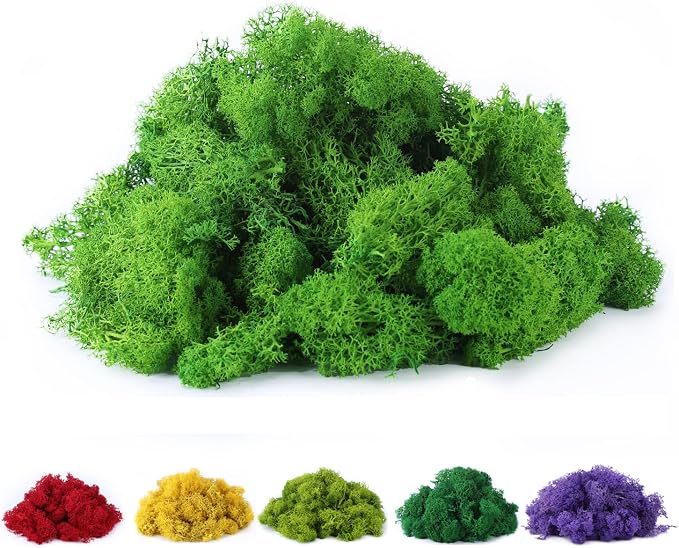 Fake Moss Preserved Reindeer Moss 3.5 OZ by DAZUINIAO