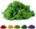 Fake Moss Preserved Reindeer Moss 3.5 OZ by DAZUINIAO
